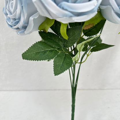 Blue Silk Empress Rose Bush - 7 Heads