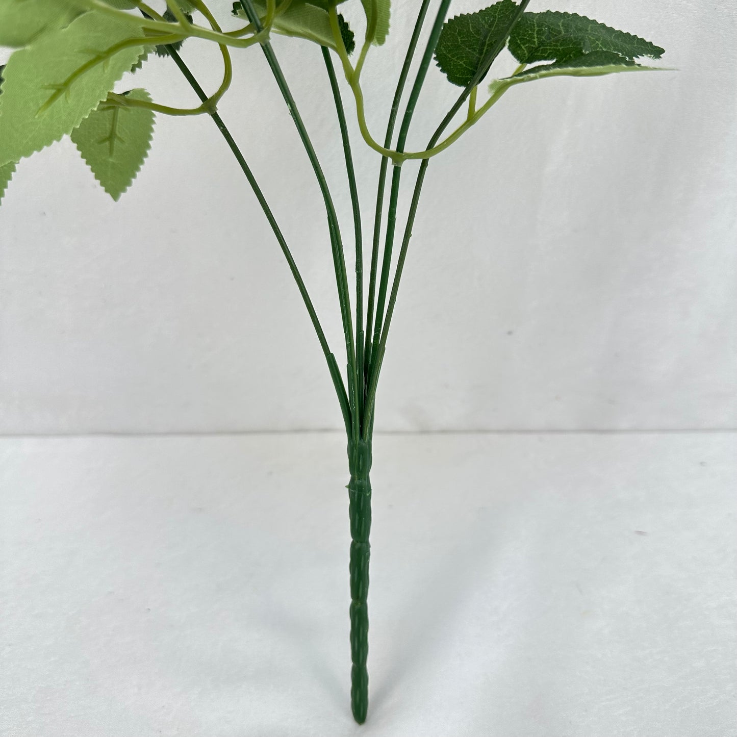 Blue Silk Empress Rose Bush - 7 Heads