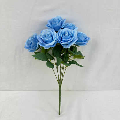 Blue Silk Happiness Rose Bush - 7 Heads