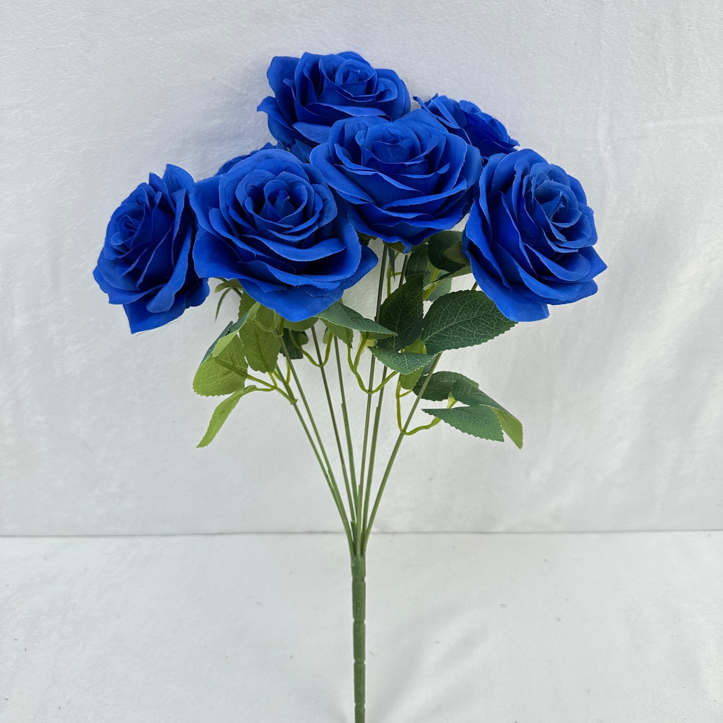 Blue Silk Happiness Rose Bush - 7 Heads