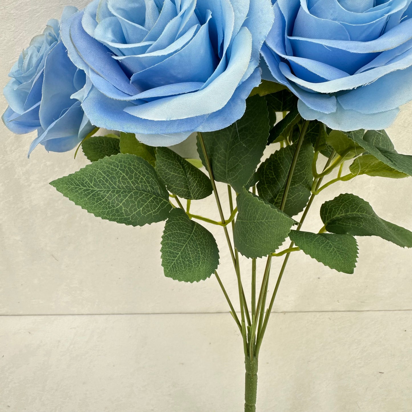 Blue Silk Happiness Rose Bush - 7 Heads
