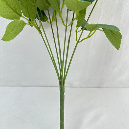 Blue Silk Happiness Rose Bush - 7 Heads