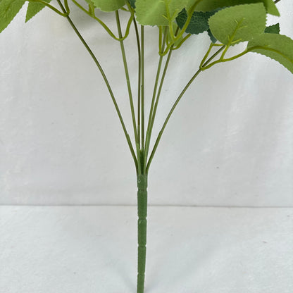 Black Silk Happiness Rose Bush - 7 Heads