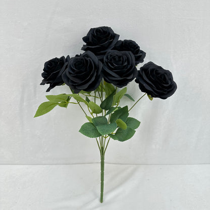 Black Silk Happiness Rose Bush - 7 Heads