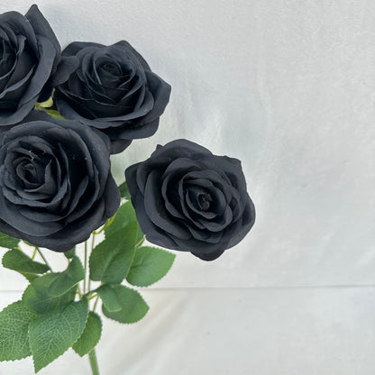Black Silk Happiness Rose Bush - 7 Heads