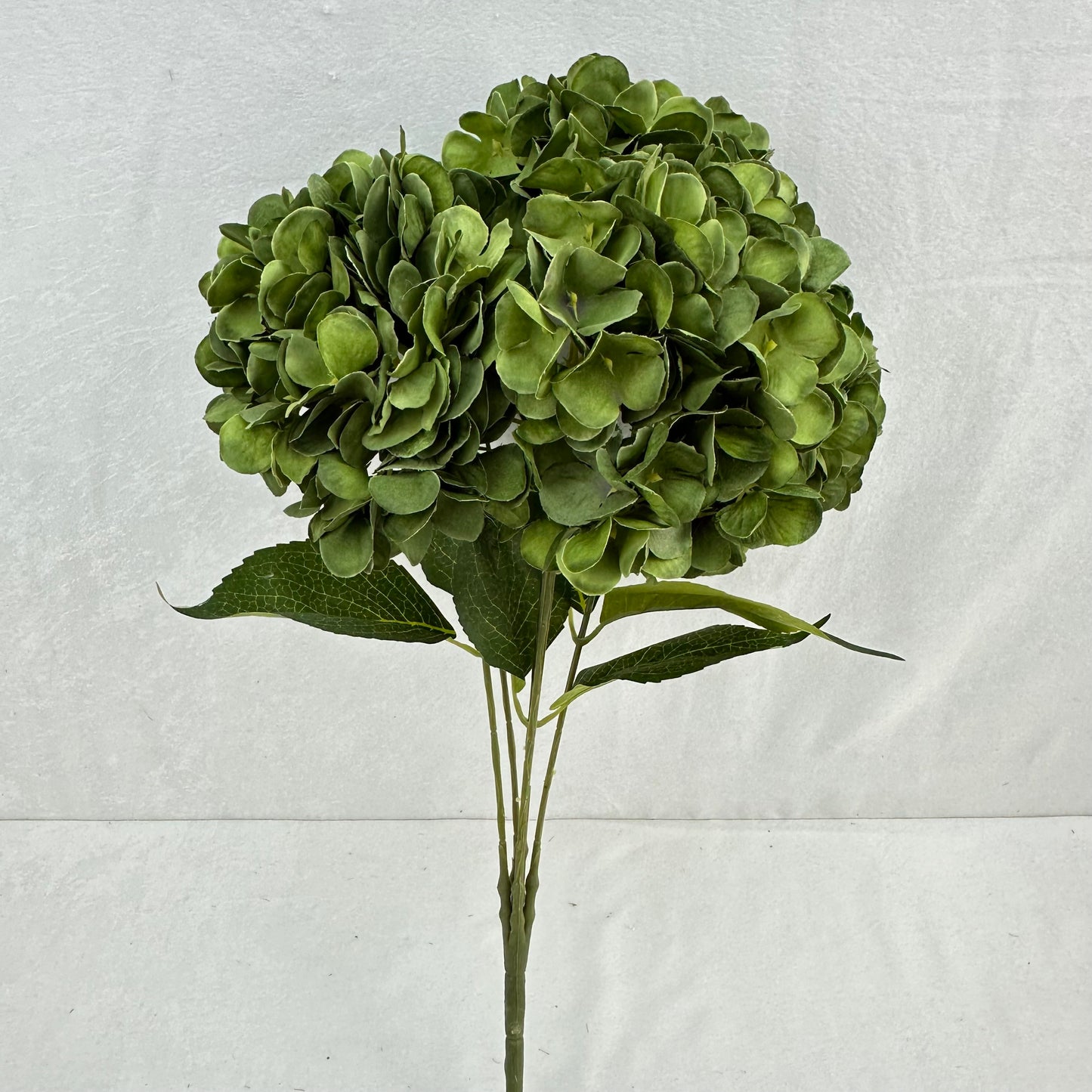 Green Silk French Hydrangea Bush - 5 Heads