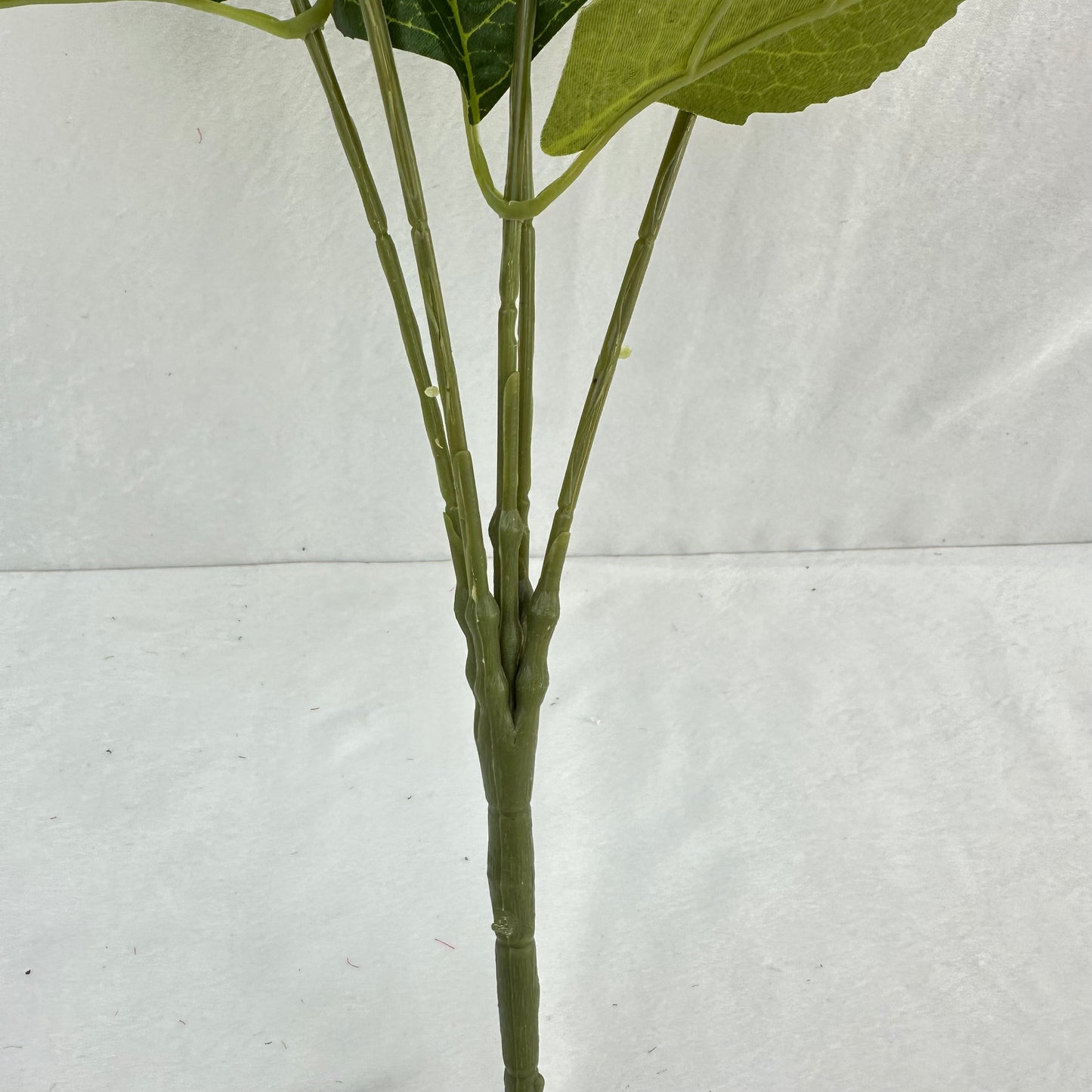Green Silk French Hydrangea Bush - 5 Heads
