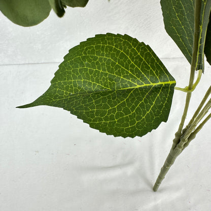Green Silk French Hydrangea Bush - 5 Heads