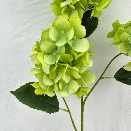 Green Silk Pagoda Hydrangea Spray - 3 Heads
