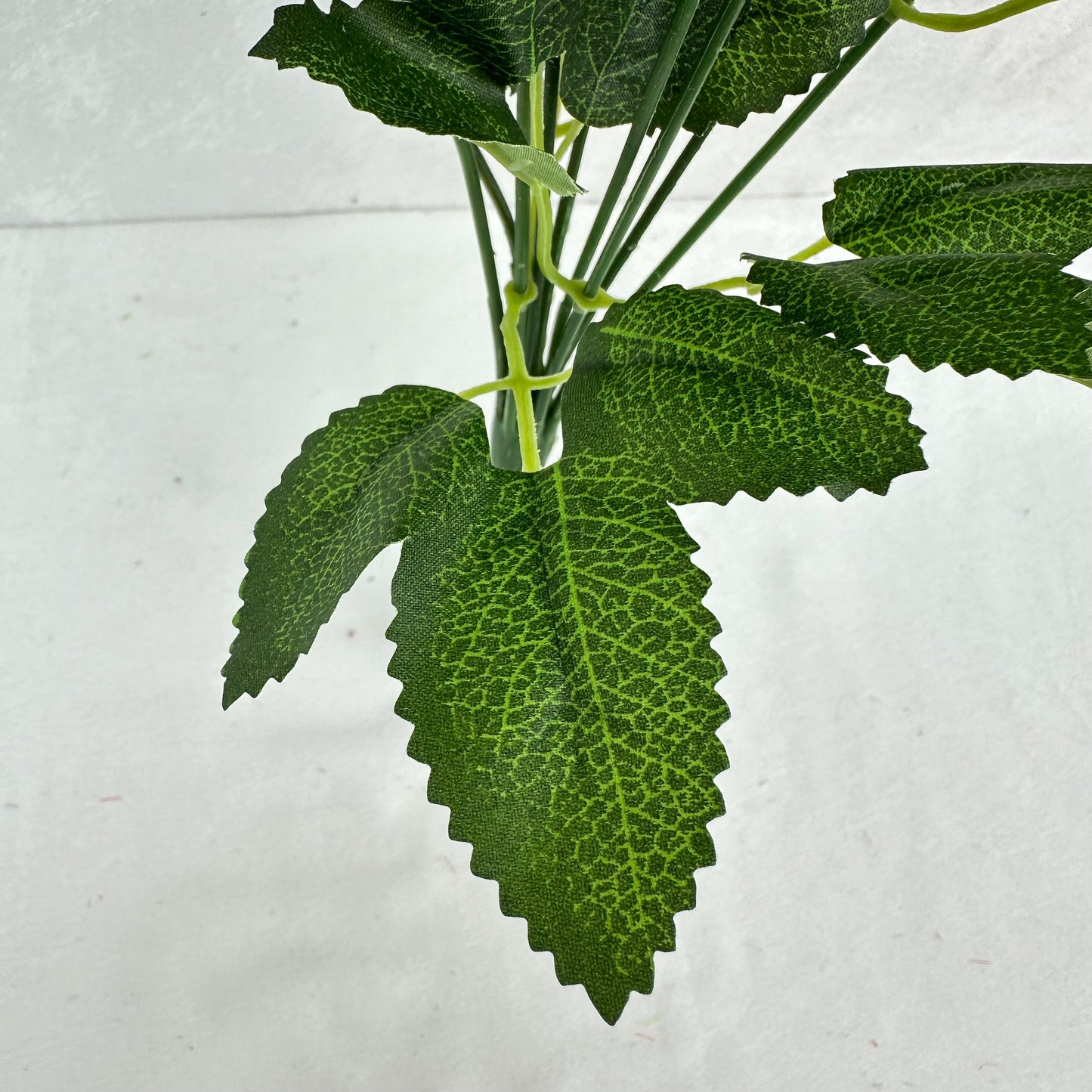 Green Silk Diamond Rose Bush - 9 Heads