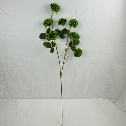 Green Silk Empress Rose Bush - 8 Heads