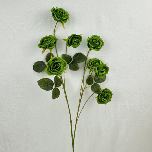 Green Silk Empress Rose Bush - 8 Heads