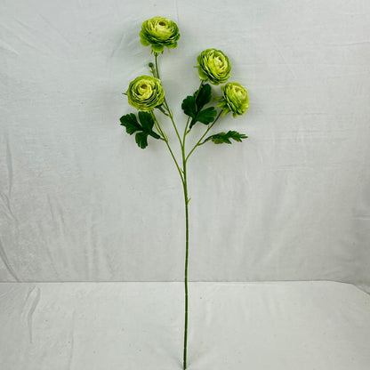 Green Silk Camellia Bush - 4 Heads