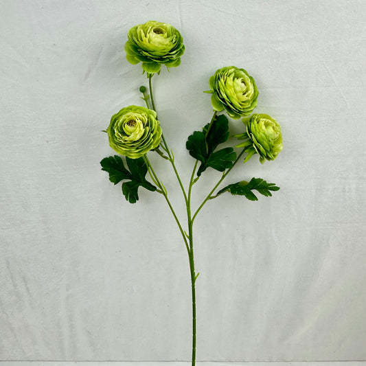 Green Silk Camellia Bush - 4 Heads