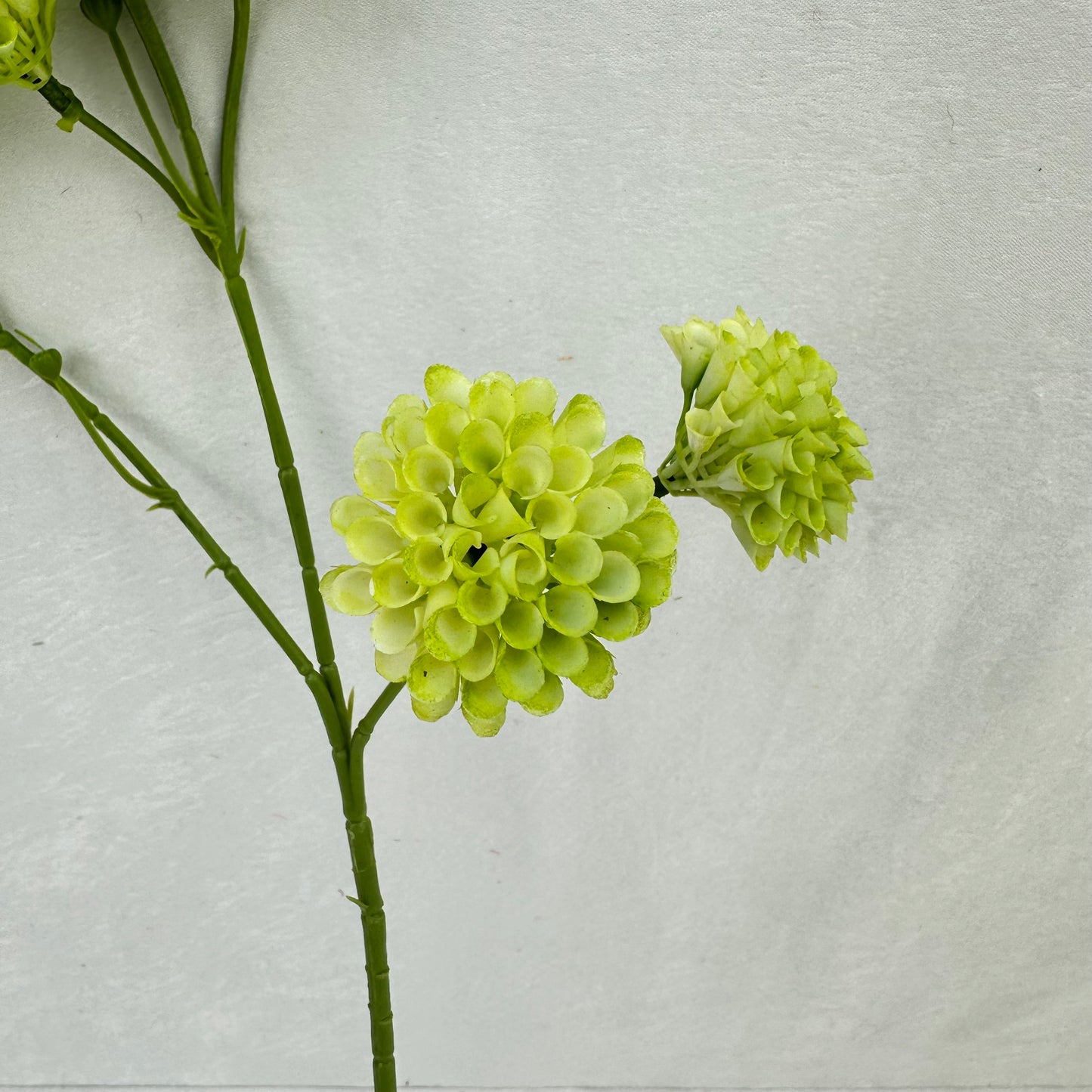 Green Small Honeycomb Spray - 10 Heads