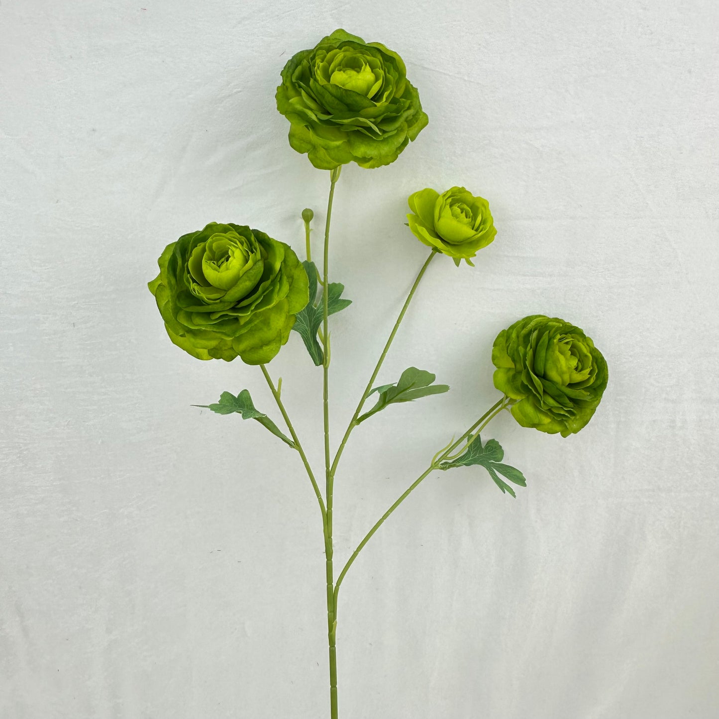 Green Silk Nerine Peony Bush - 4 Heads