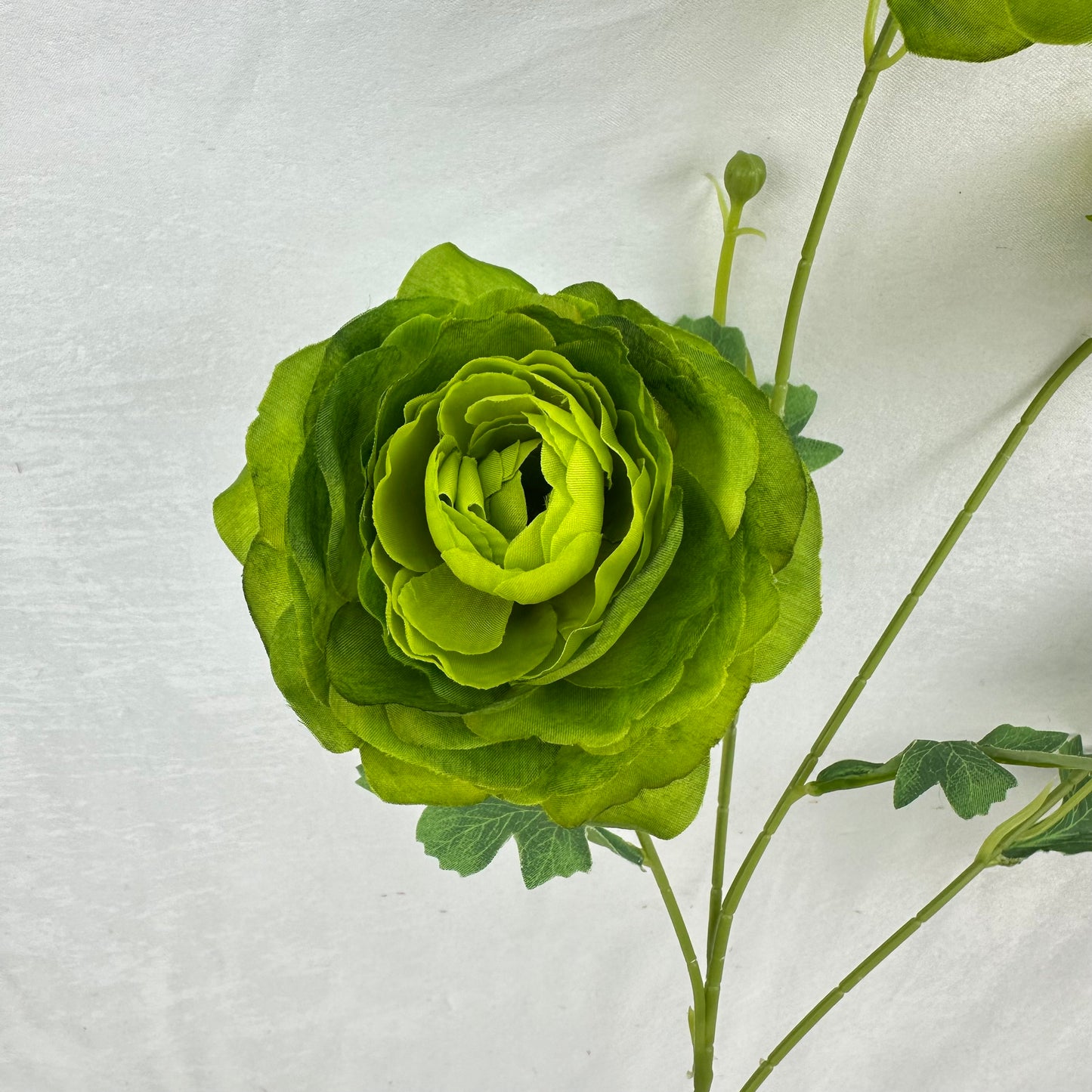 Green Silk Nerine Peony Bush - 4 Heads