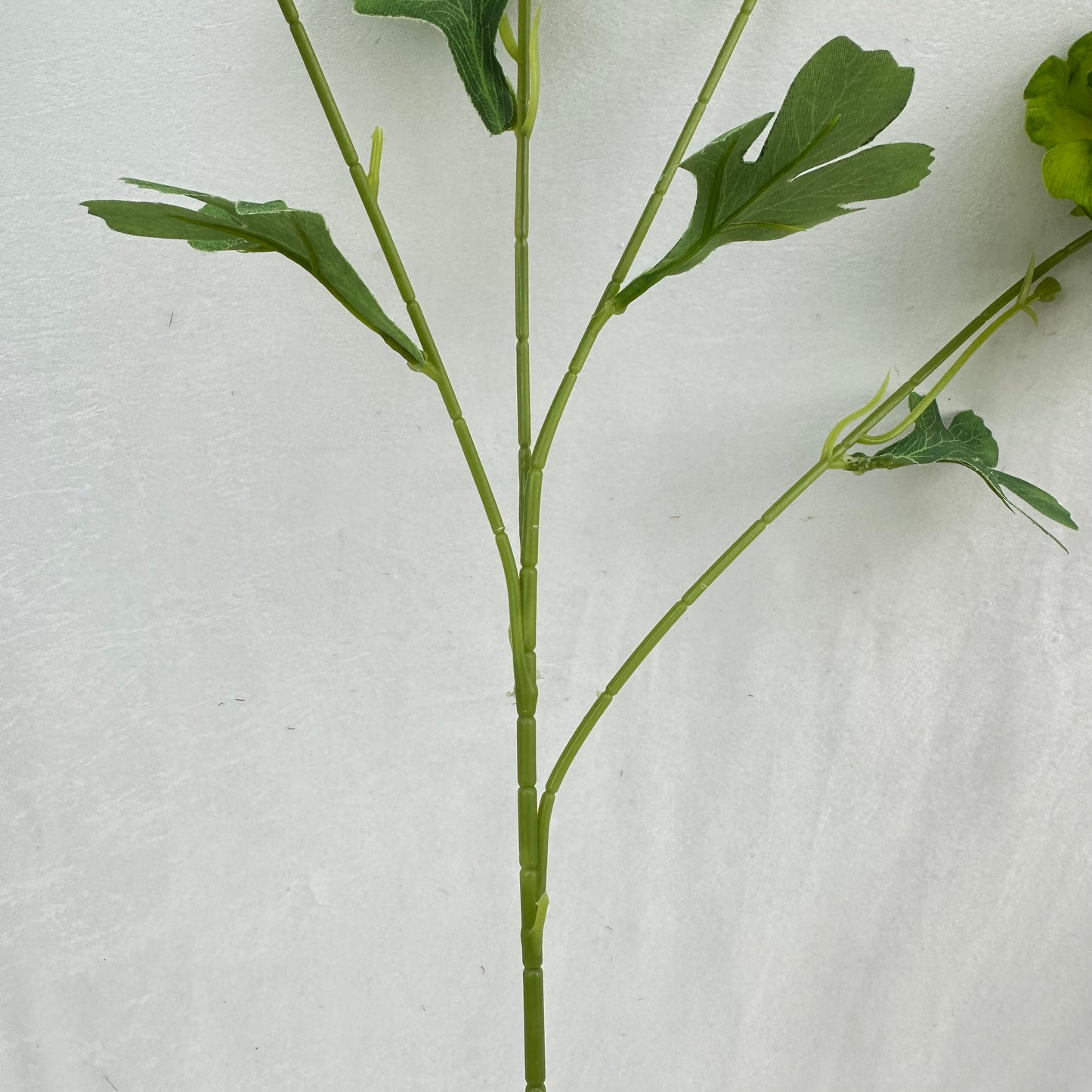 Green Silk Nerine Peony Bush - 4 Heads
