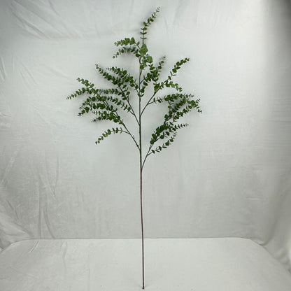 Green Hanging Eucalyptus Branch