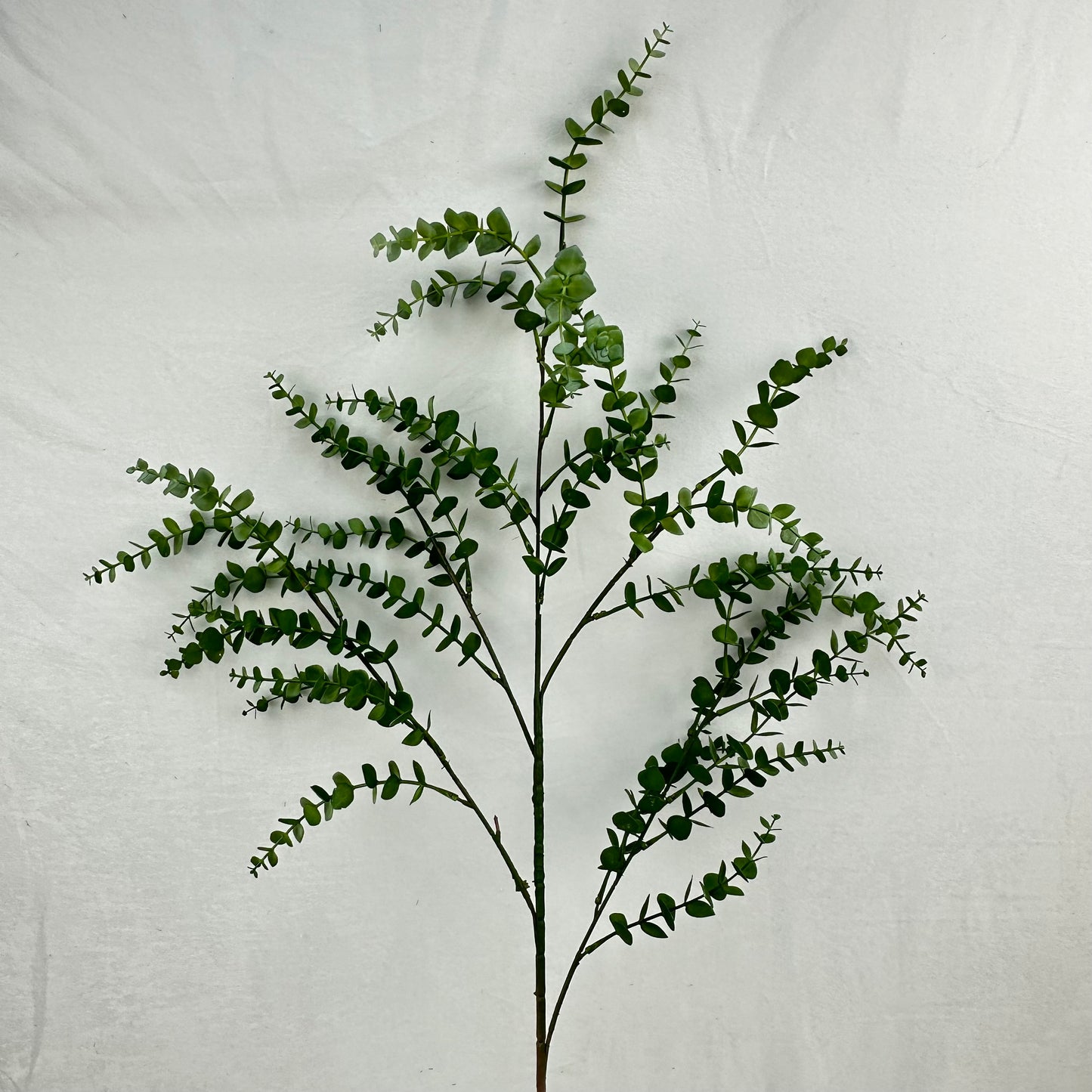 Green Hanging Eucalyptus Branch