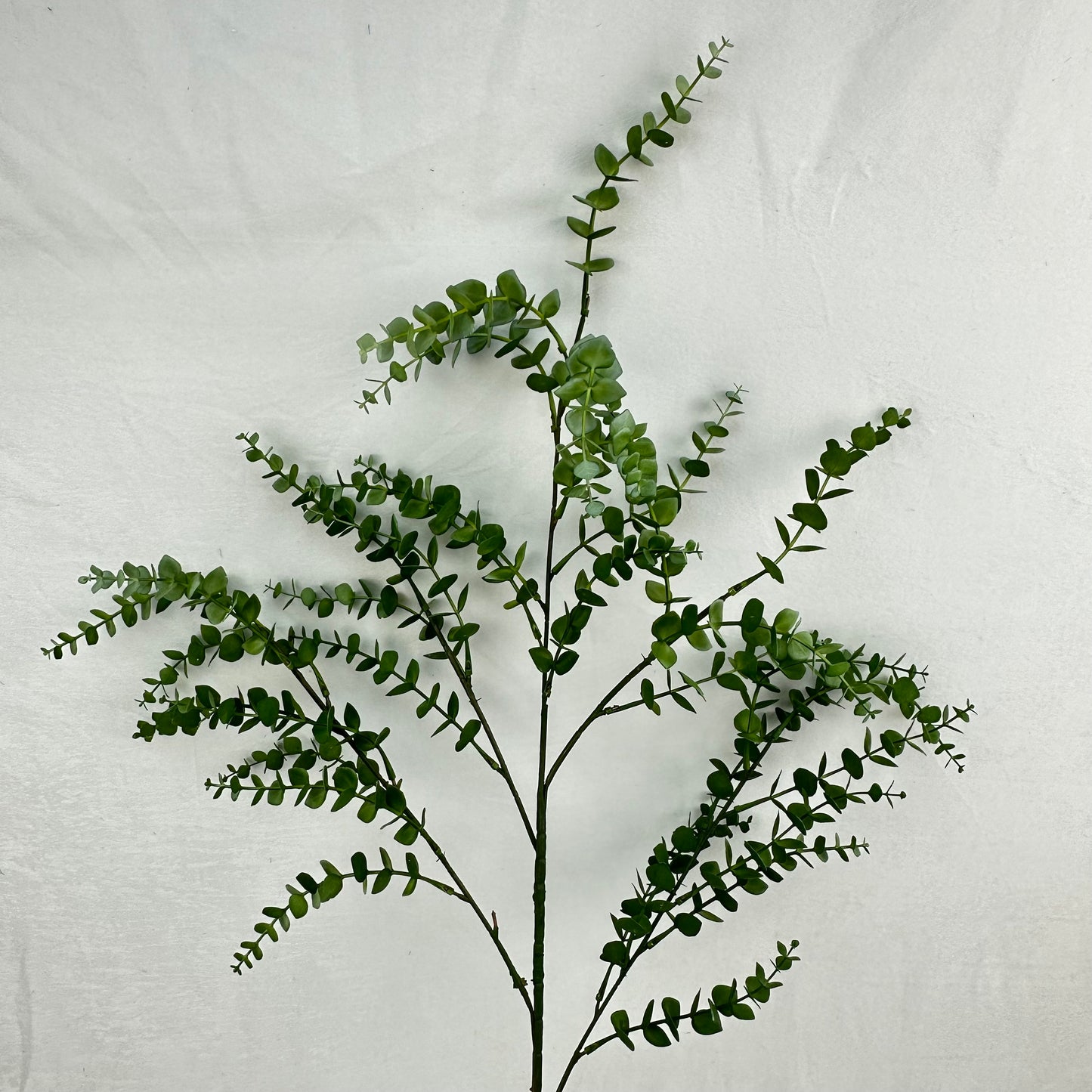 Green Hanging Eucalyptus Branch