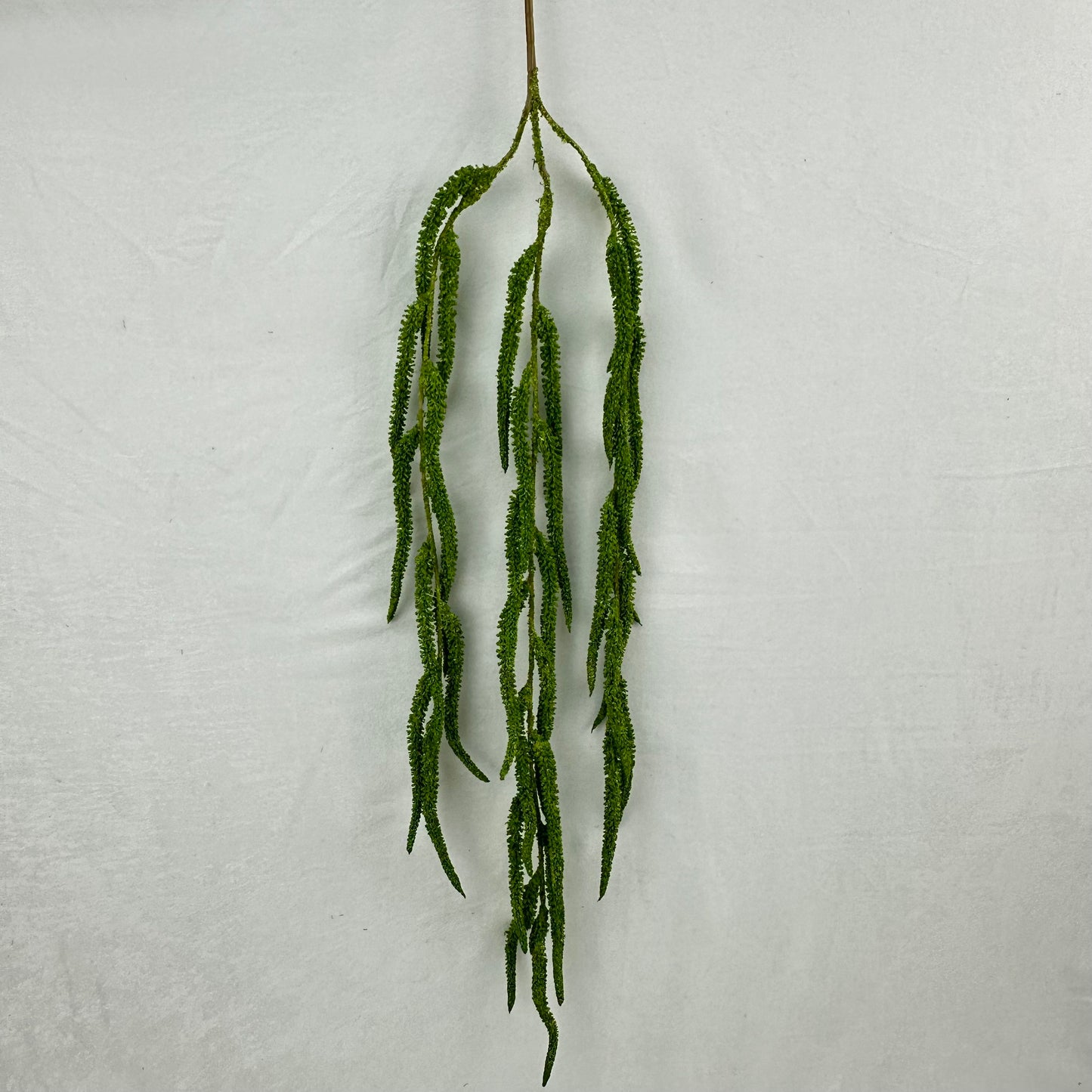 Green Silk Amaranthus Stem