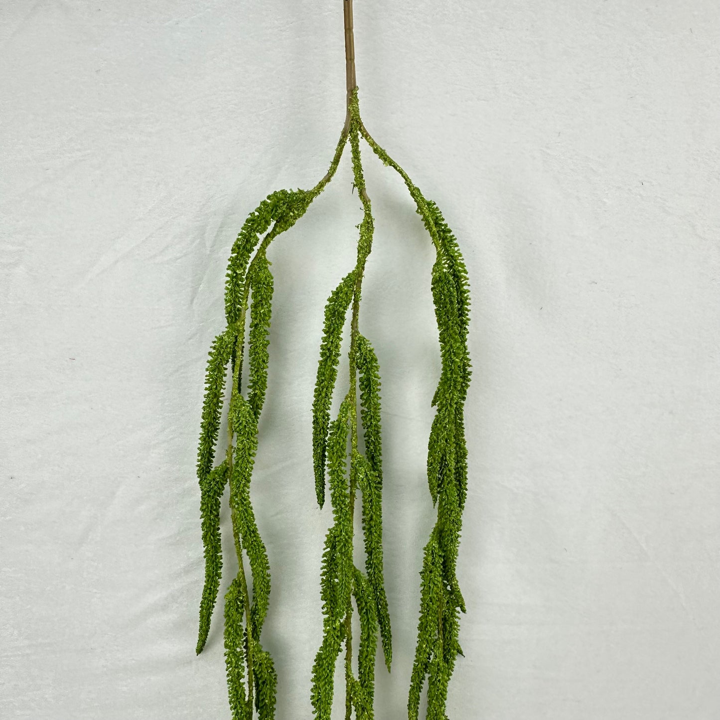 Green Silk Amaranthus Stem