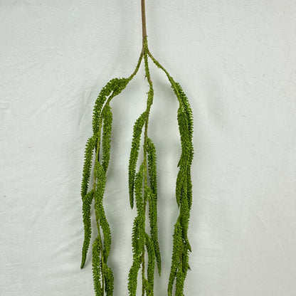 Green Silk Amaranthus Stem