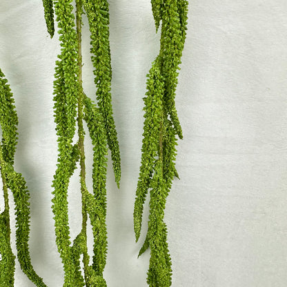 Green Silk Amaranthus Stem