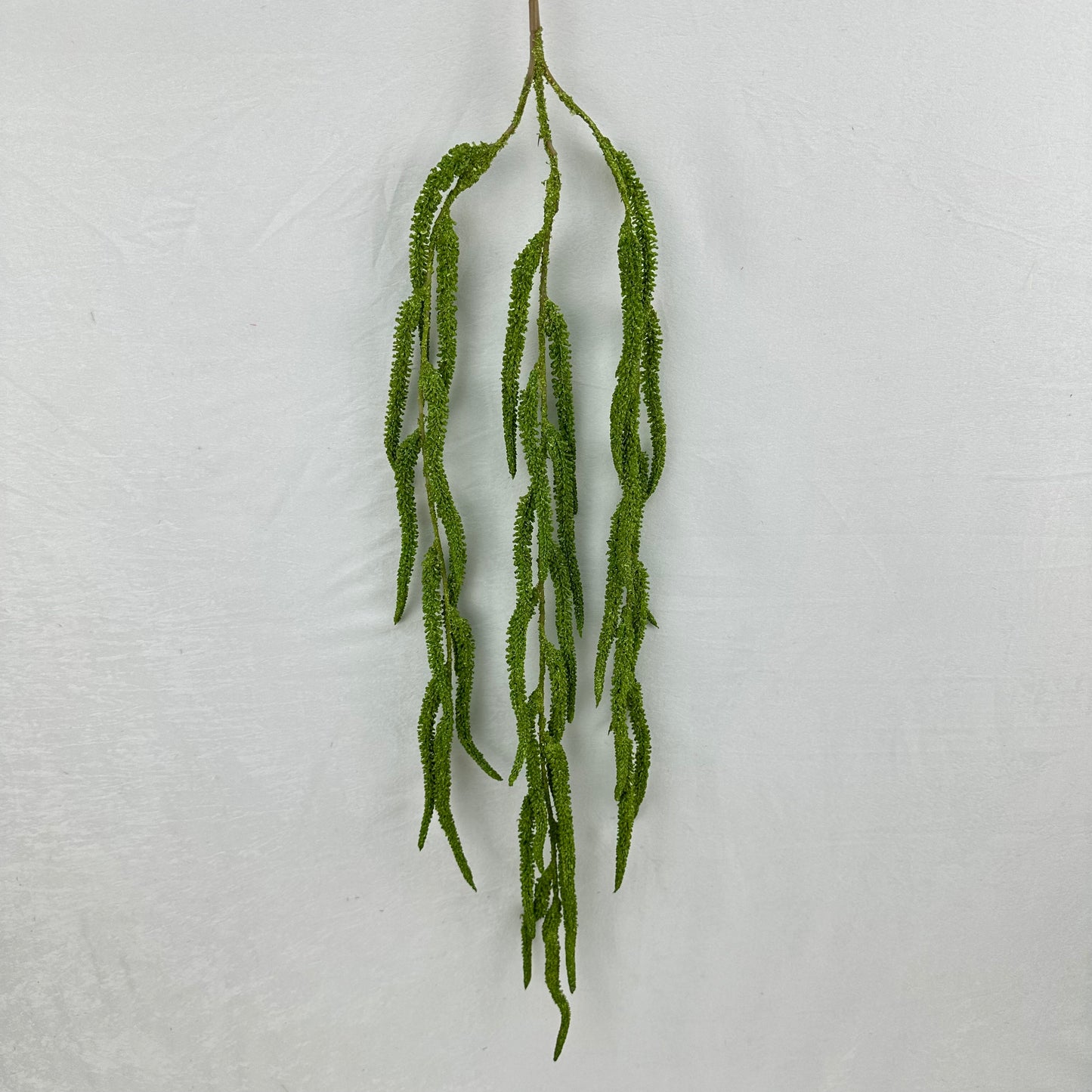 Green Silk Amaranthus Stem