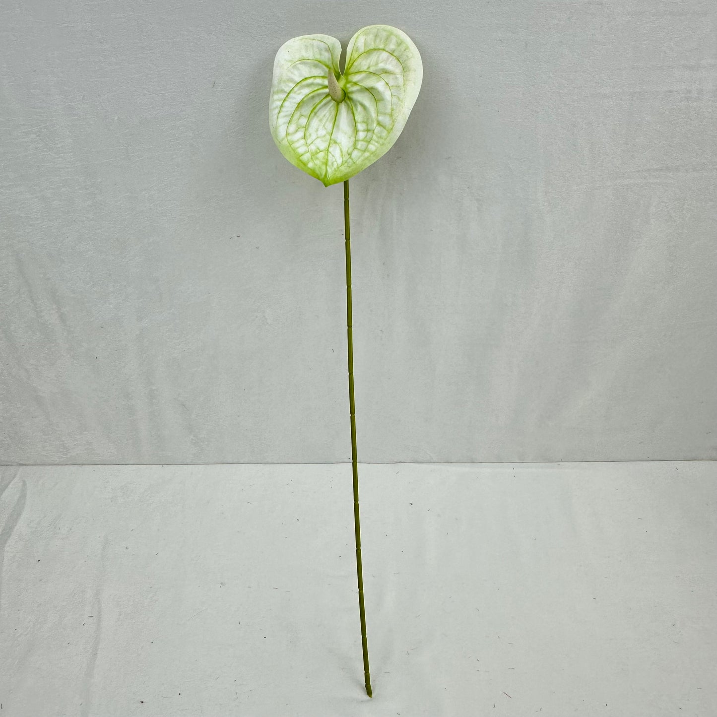 White Real Touch Anthurium Stem