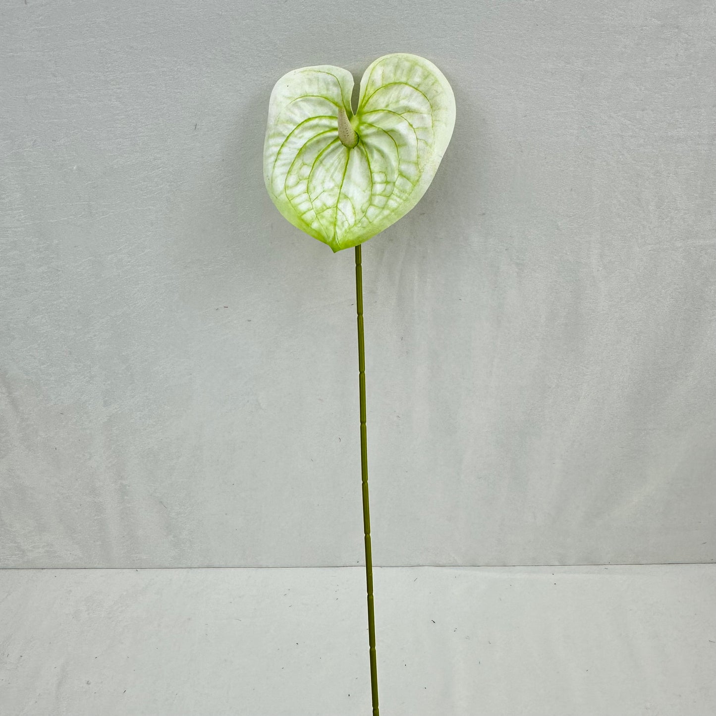 White Real Touch Anthurium Stem