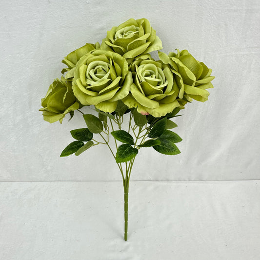 Green Silk Star Moon Rose Bush - 7 Heads