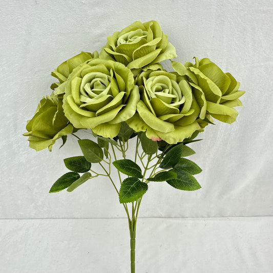 Green Silk Star Moon Rose Bush - 7 Heads
