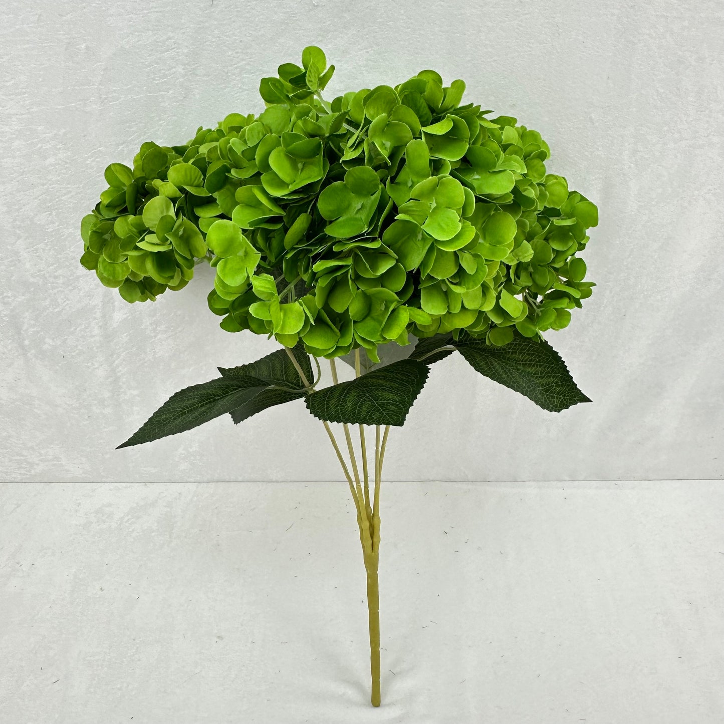 Green Silk French Hydrangea Bush - 5 Heads