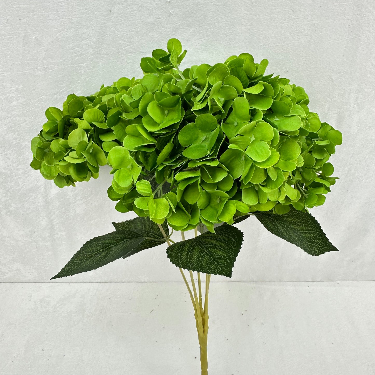 Green Silk French Hydrangea Bush - 5 Heads