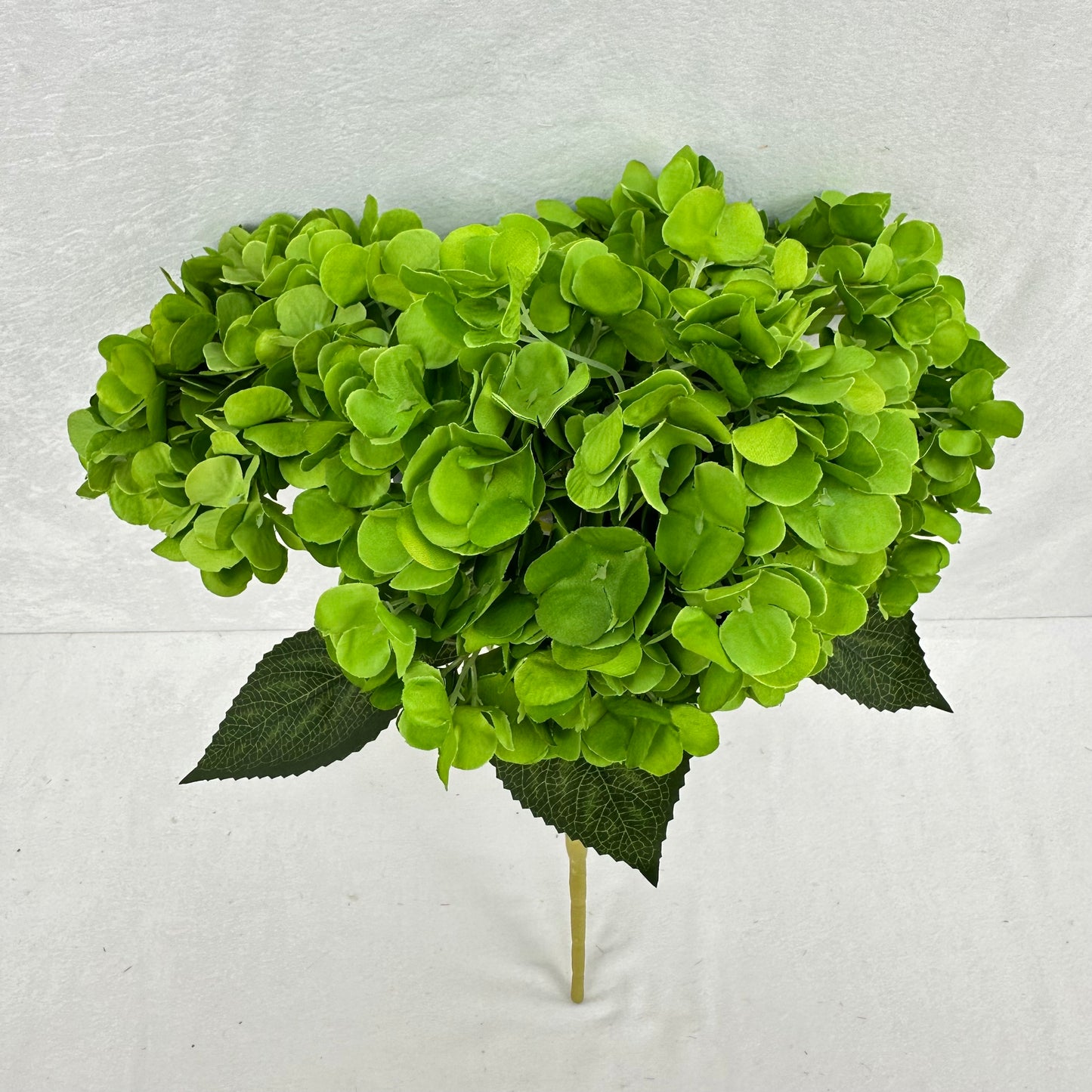 Green Silk French Hydrangea Bush - 5 Heads