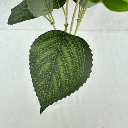 Green Silk French Hydrangea Bush - 5 Heads