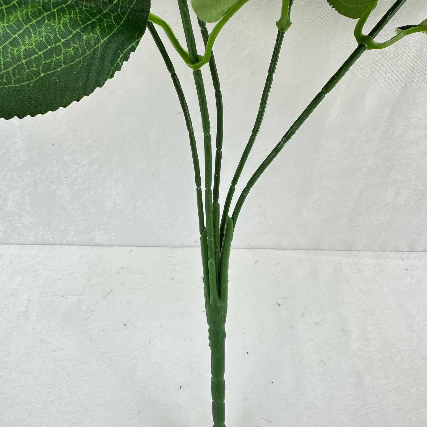 Green Silk GJ Hydrangea Bush - 5 Heads