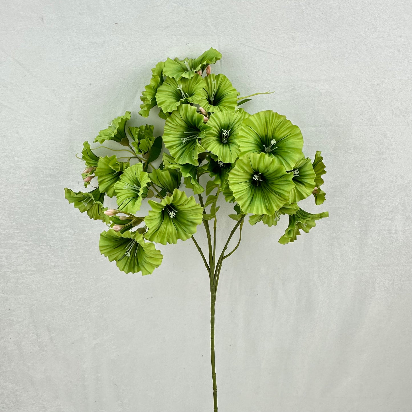 Green Silk Morning Glory Spray
