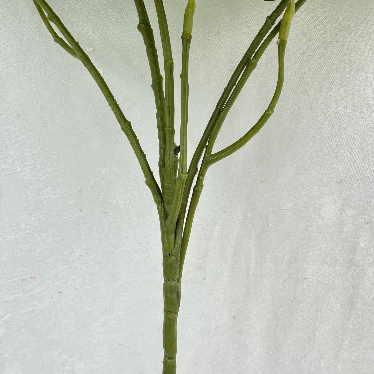 Green Silk Morning Glory Spray