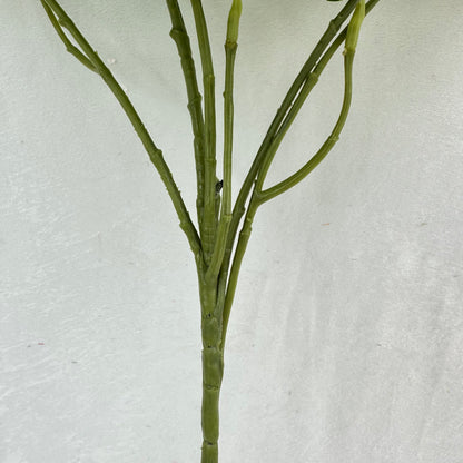 Green Silk Morning Glory Spray