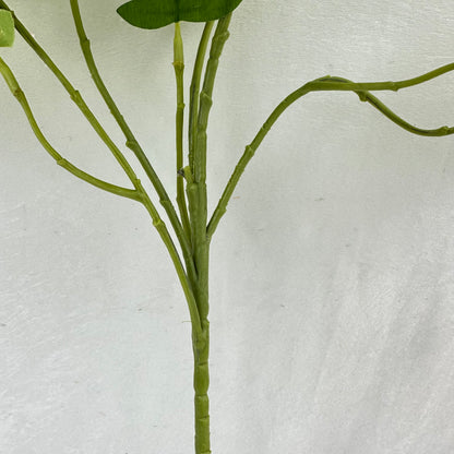 Green Silk Morning Glory Spray