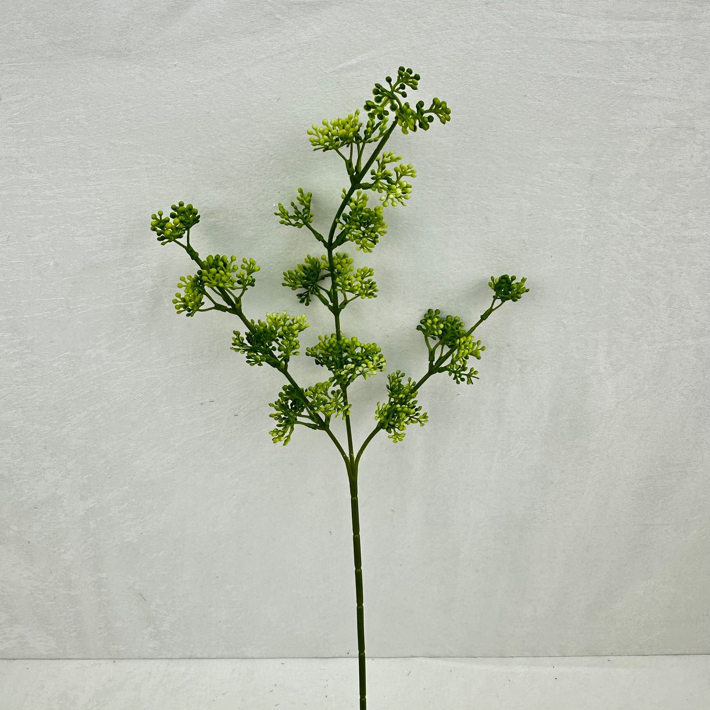 Green Millet Fruit Branch