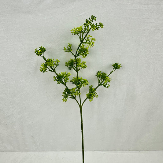 Green Millet Fruit Branch