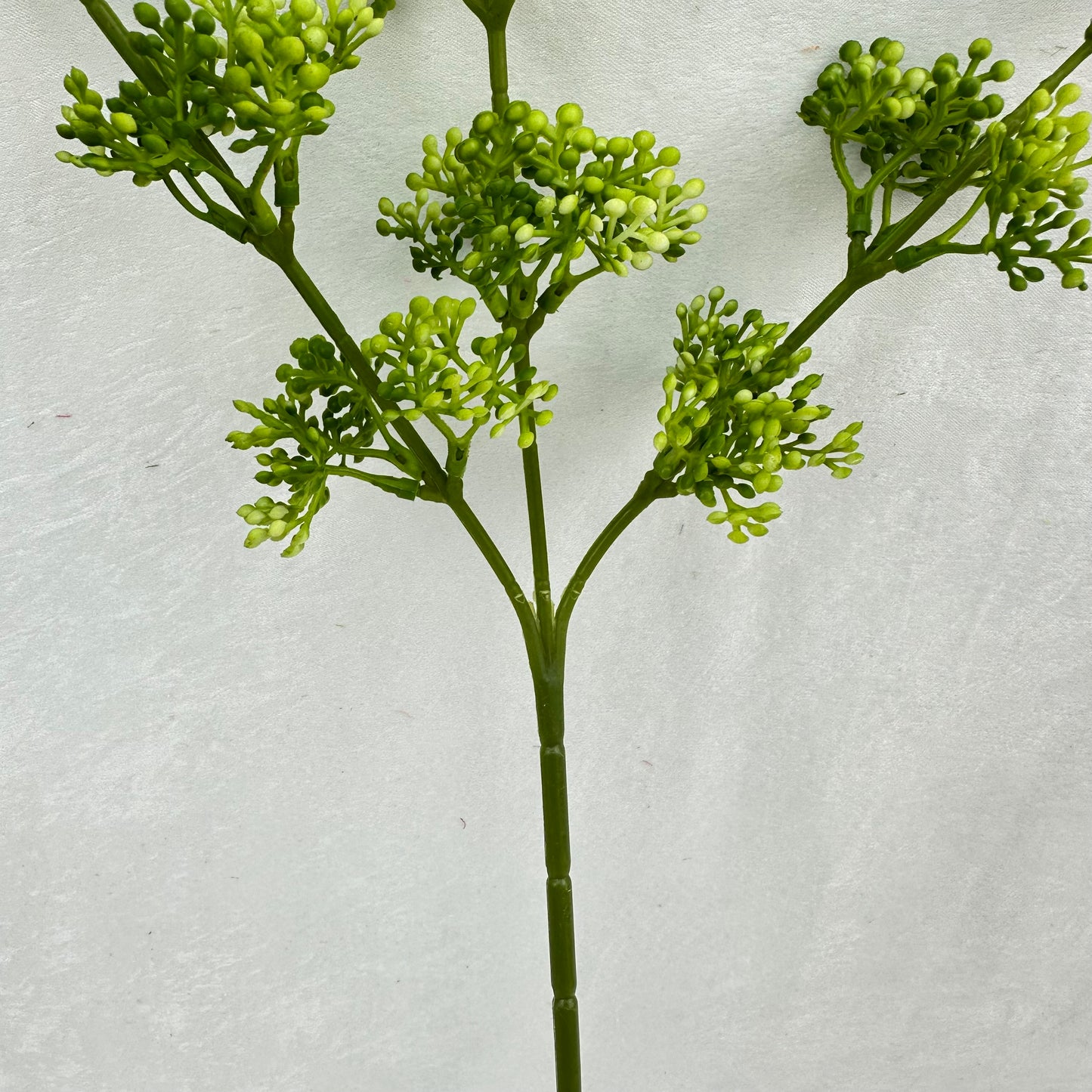 Green Millet Fruit Branch