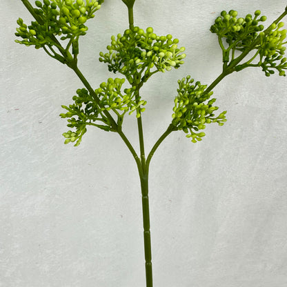 Green Millet Fruit Branch