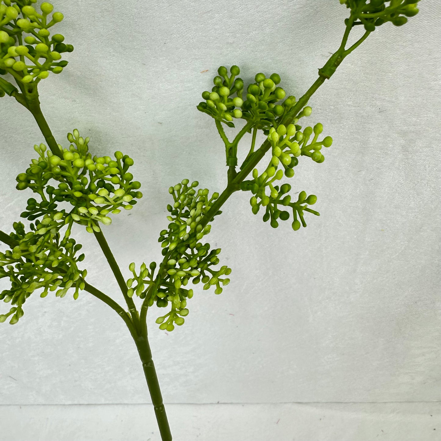 Green Millet Fruit Branch