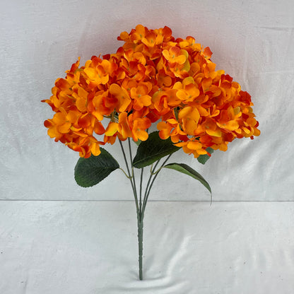 Orange Silk French Hydrangea Bush - 5 Heads