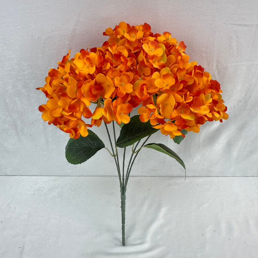 Orange Silk French Hydrangea Bush - 5 Heads